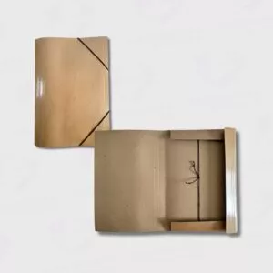 Carpeta Carton 3 Solapas Con Elastico Oficio