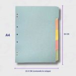 Separadores de Cartulina A4 - APE - 5 Colores Surtidos - Alto Gramaje - Imagen 4