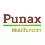 Punax