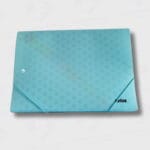 Carpeta Acordeón con elástico – Oficio – Clasificador Fuelle Plástico Avios 12 Divisiones - Imagen 6