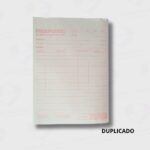 Talonario Alianza Presupuesto Duplicado Grande (3)