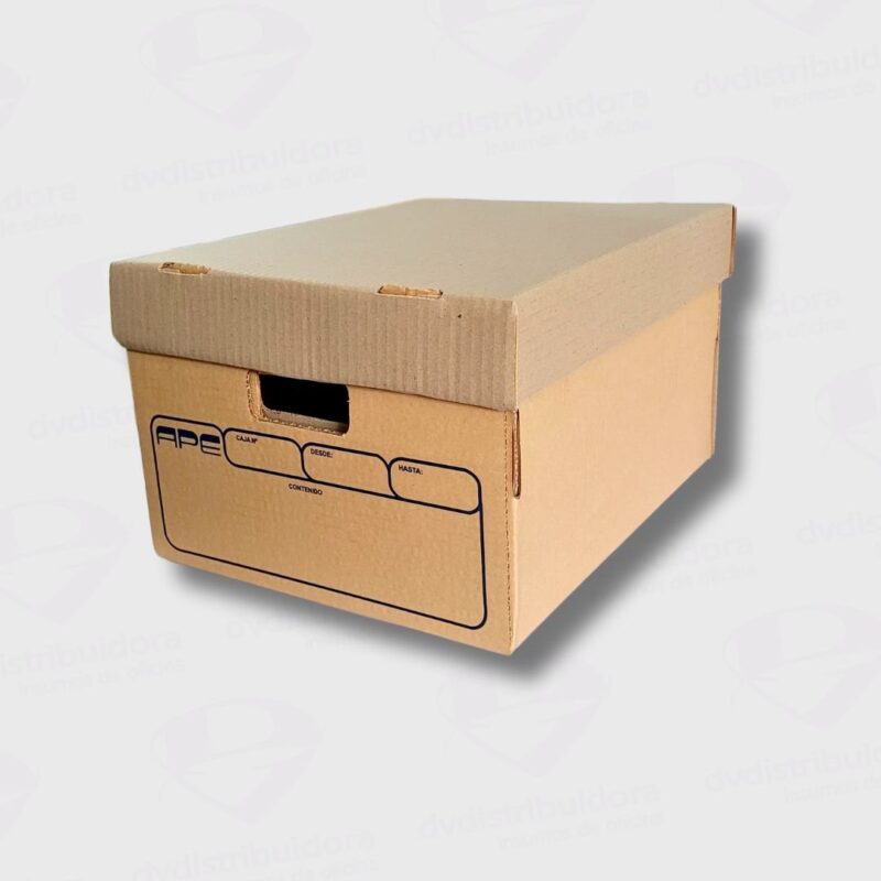 Caja Archivo Carton Bancaria Americana Con Tapa
