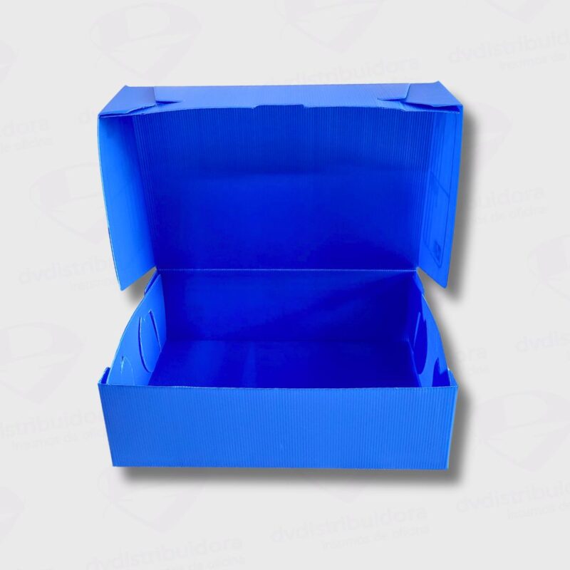 Caja De Archivo Plastica Legajo Lomo 12CM